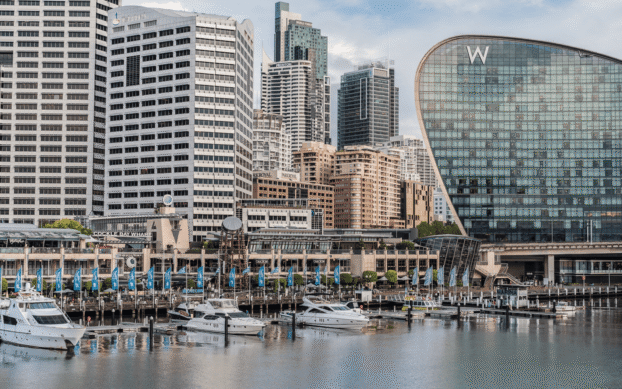 pt june insights